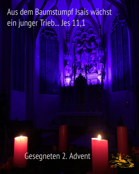 2019-2-advent-kehmh.png  