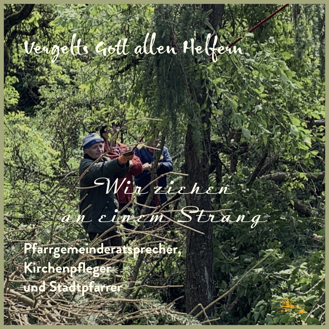 20190511_Baumfaellen.png