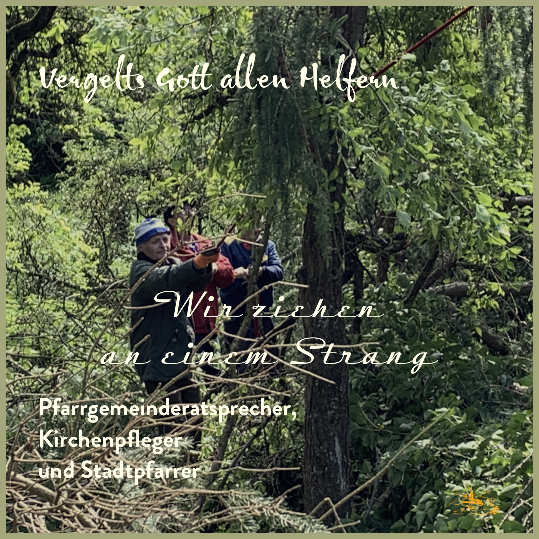 20190511_Baumfaellen.png  