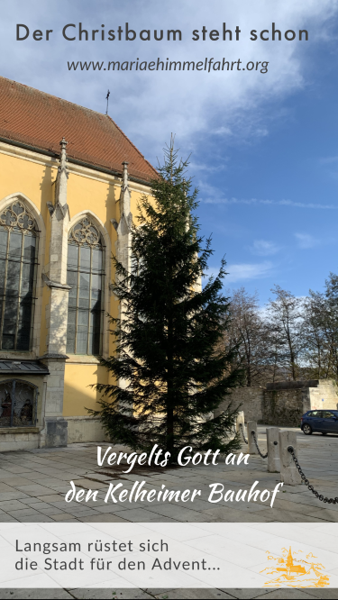 20191119_Christbaum_steht_web.png  