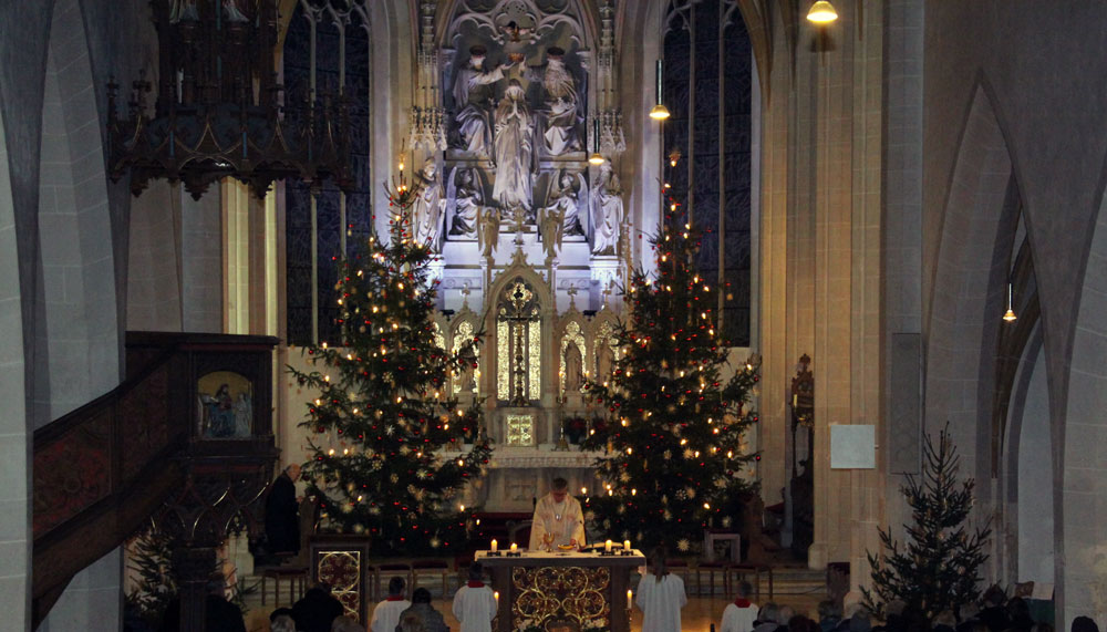 Christbäume-weihnachten.jpg  